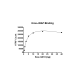 Kras Q61H–cRAF Binding Assay Kit